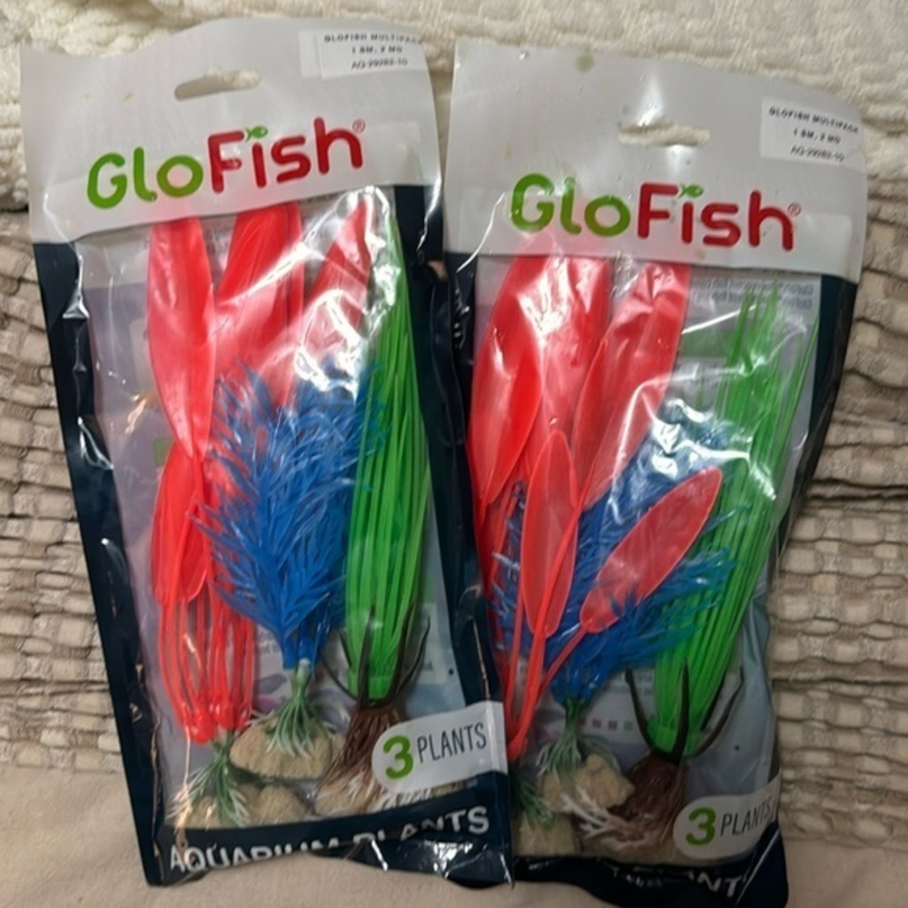 Glofiah Aquarium plants